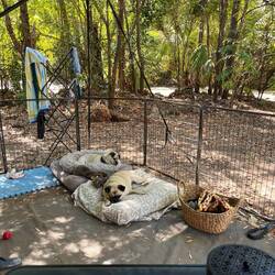 Hot and dusty tropical campsite