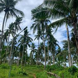 Erstmal eine Buschwanderung gemacht zum Cross hahah