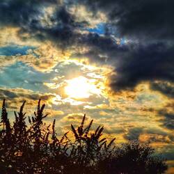 Abendstimmung im Garten
