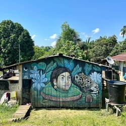 Maison du village de Puerto Nariño