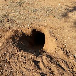 Was da wohl drin ist 🤔😬?