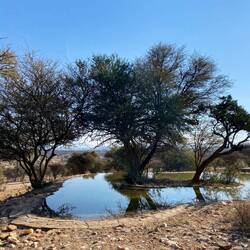Wasserloch aus der Nähe