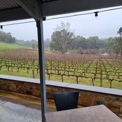 Outlook from the Sawmill Distillery