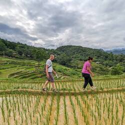 Walking along rice paddies