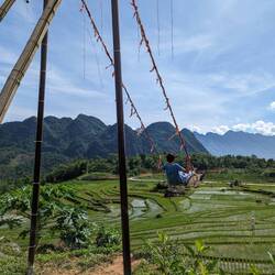 Swing over the rice terraces