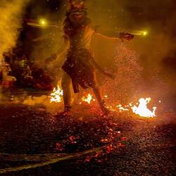 Monkey playing with fire