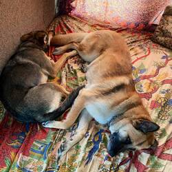 Da ist jemand KO ☯️