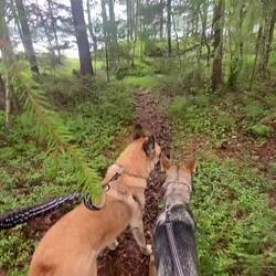 Diese Stille war richtig überwältigend ❤️