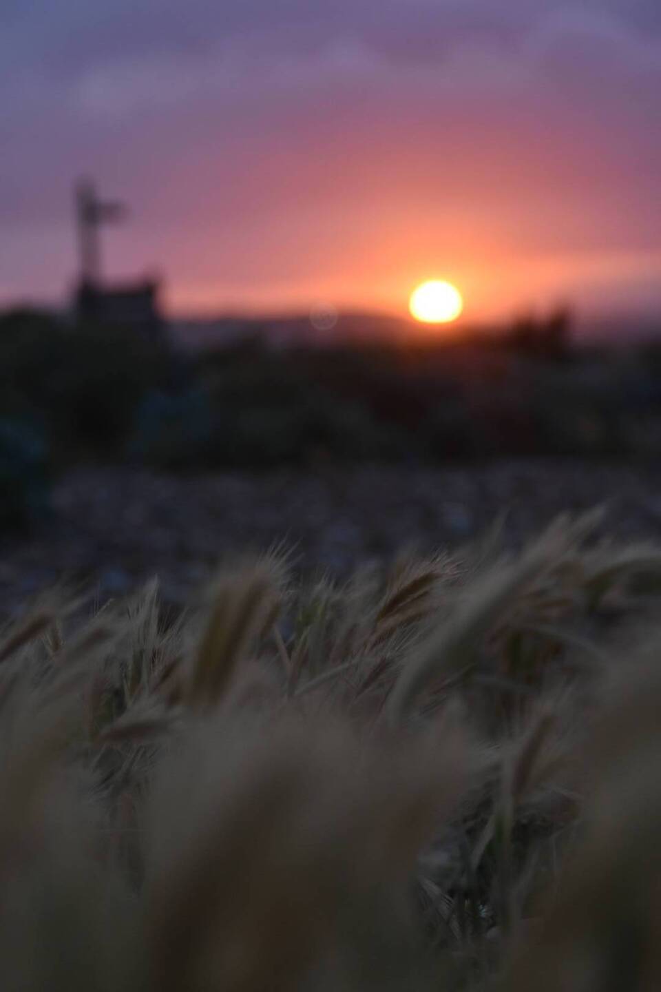 Sonnenuntergang Seaford