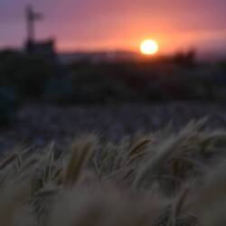 Sonnenuntergang Seaford