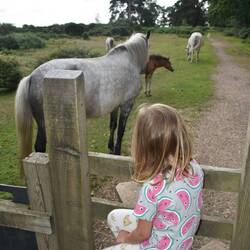 Am morgen waren sie wieder da