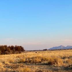 Nashörner sind noch da 😍