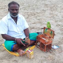 Kartenleger am Strand