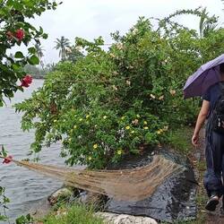 Monsunregenspaziergang - herrlich warm