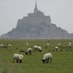Mont St. Michel in der Ferne