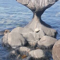 dad Wunder der Natur