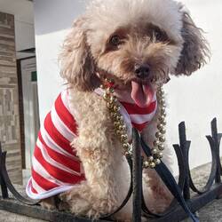 ❤️🤣🤣🤣❤️