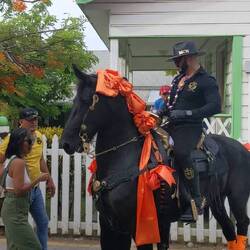 Super gefährliches Pferd 🫣