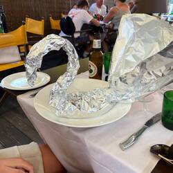 Gab's spaghetti in an aluminium swan!