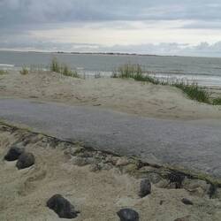 Norderney ist gar nicht weit