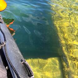 Mine Shaft Openings Still Visible Under the Water