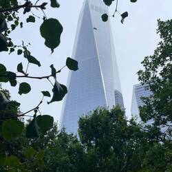 New World Trade Center 1