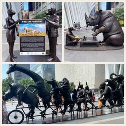 A Wild Life of Wildlife