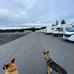 90% deutsche denen das hier gefällt. 😉