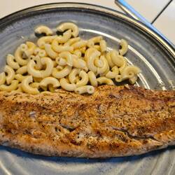 Zur Belohnung gibt es den Lachs vom Vortag😋