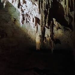 Inside Cutta Cutta caves. The interesting thing here is WWII soldiers shot the bottom of these