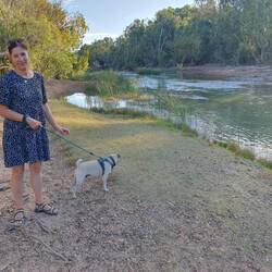 The Katherine River near the caravan park