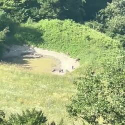 Schweinis. Das wasser wollte ich auch nicht