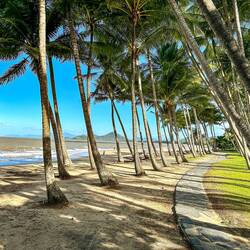 Palm Cove