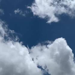 Der Guide war einfach Profifotograf