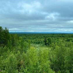 Tundra so weit das Auge reicht...