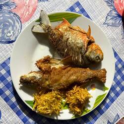 Bravo à Anaïs qui a péché notre dîner 😋