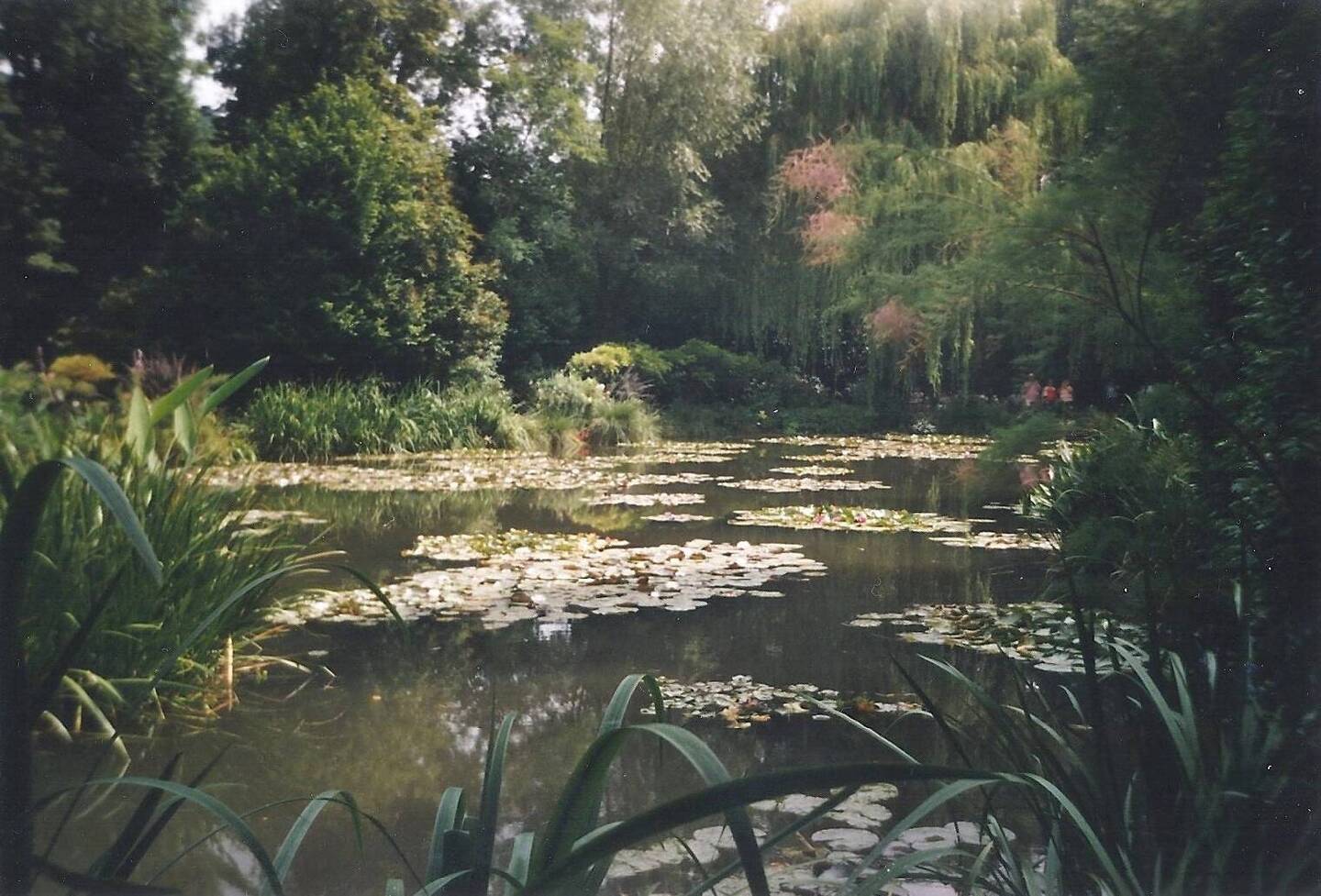 Der berühmte Seerosen Teich. Eines seiner bekanntesten Werke.
