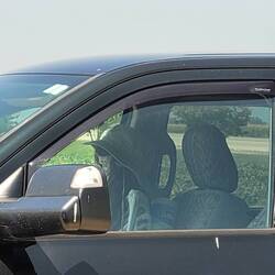 Diese Beifahrerin mault bestimmt nicht mehr 🙈🙈🙈