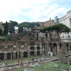 The Forum of Caesar (Temple of Venus)