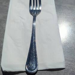 Average sized forks used at Big Fork