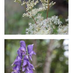 Bisschen was buntes am Wegesrand