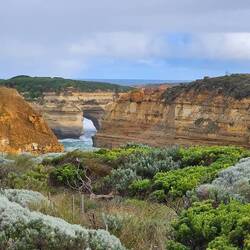 Mutton Bird Island from Tom & Eva lookout