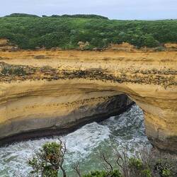 Mutton Bird Island