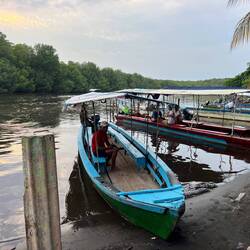 Bootsanleger unten am Fluss 🛶