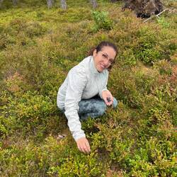 Enjoying delicious wild blueberries