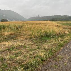 Heute Regen-Ansichten auf Burg Lichtenberg