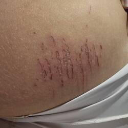 Dasch übrigens de Stand vo mim Arsch