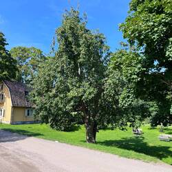 13.8 - 16.8 Klubbensborg Camping 1460 Sk . Sehr netter Platz, klein, 7 km vom Zentrum Stockt