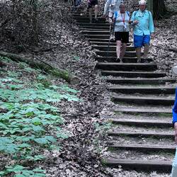 The Easy Way Down the Escarpment