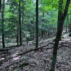 The Niagara Escarpment